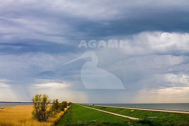 Markermeer, Oostvaardersdijk, Thunder, Clouds stock-image by Agami/Menno van Duijn,