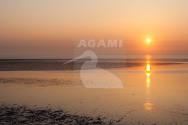 Sunset at Texel in spring stock-image by Agami/Marc Guyt,