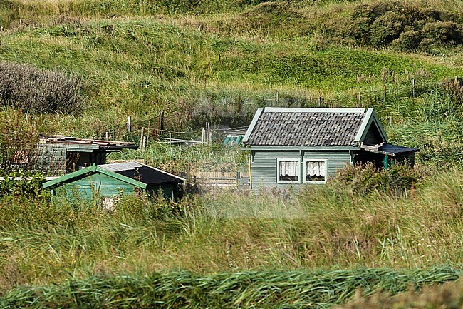 Dorpsgezicht van Bergen in de zomer; Village Bergen in summer stock-image by Agami/Marc Guyt,