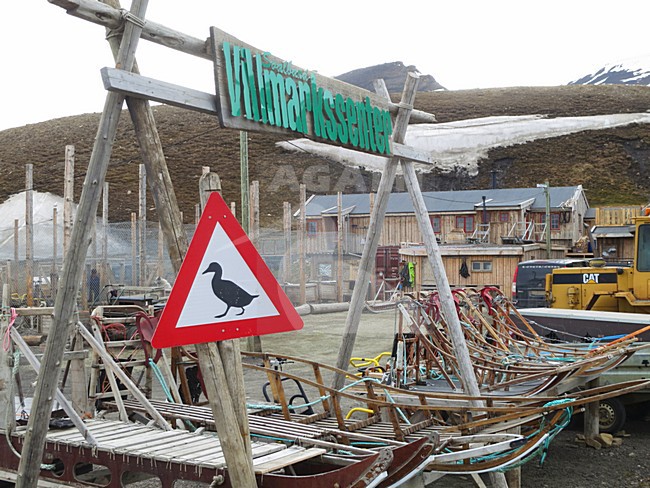 Verkeersbord, Roadsign; Longyearbyen, Spitsbergen stock-image by Agami/Marc Guyt,