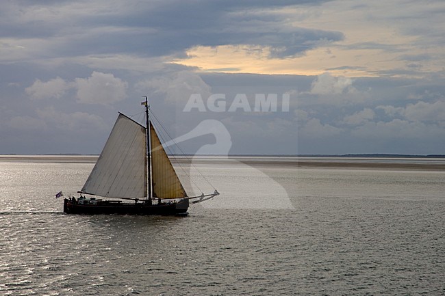 Zeilboot op de Waddenzee; Sail ship on the Waddensea stock-image by Agami/Arnold Meijer,