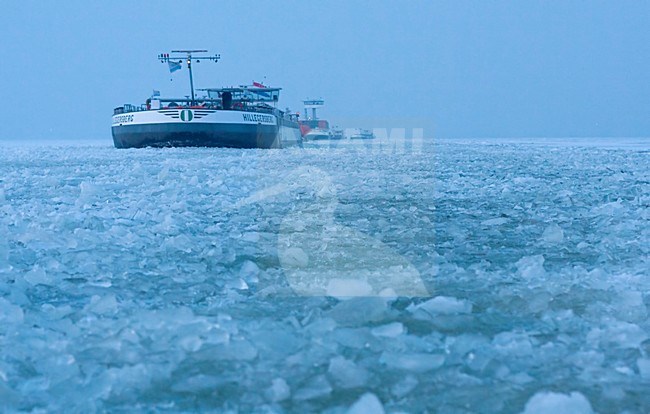Tocht met ijsbreker van Amsterdam naar Urk, Trip from Amsterdam to Urk with icebreaker stock-image by Agami/Wil Leurs,