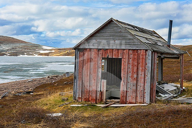 Old House at Båtsfjordfjellet, tundra landscape with frozen lake and patches of snow stock-image by Agami/Saverio Gatto,