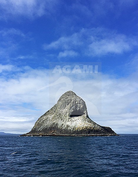 Pyramid Rock in the Chatham islands, New Zealand. The only breeding site of the Chatham Albatross. stock-image by Agami/Marc Guyt,