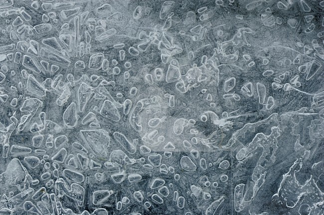 IJskristallen, Ice crystals stock-image by Agami/Menno van Duijn,