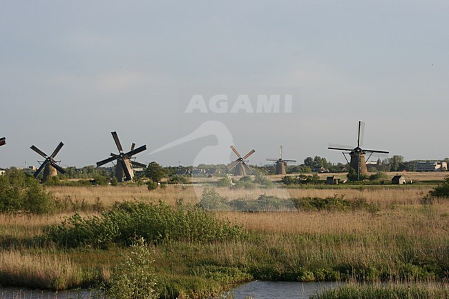 De Kinderdijkse molens, The Windmills of Kinderdijk stock-image by Agami/Chris van Rijswijk,