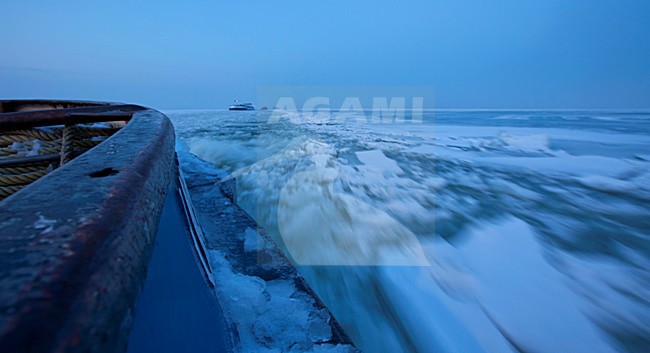 Tocht met ijsbreker van Amsterdam naar Urk, Trip from Amsterdam to Urk with icebreaker stock-image by Agami/Wil Leurs,