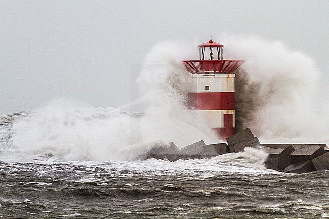 Winter Storm at pier of Scheveningen overcast stock-image by Agami/Menno van Duijn,
