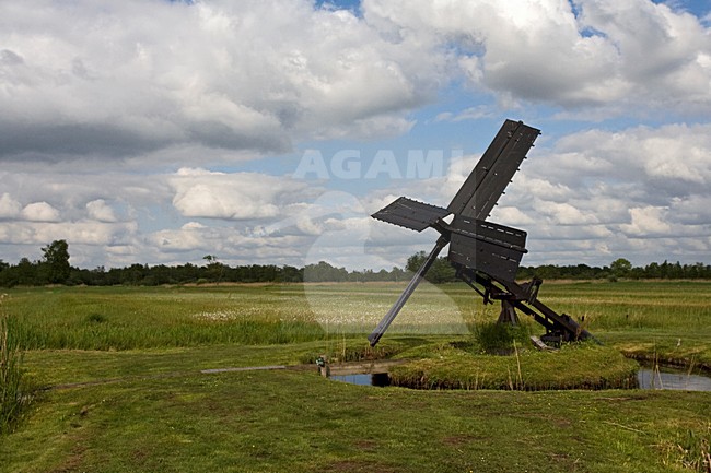 Weeribben in de zomer; Weeribben in summer stock-image by Agami/Marc Guyt,