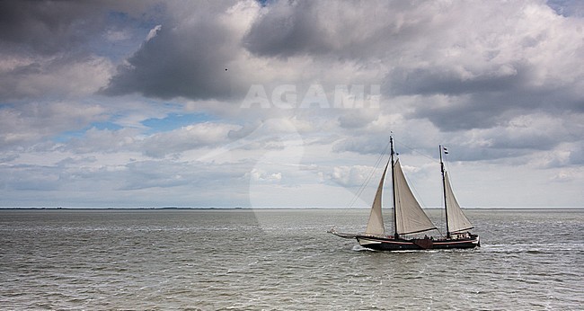 Wadden Sea, Netherlands stock-image by Agami/Bas Haasnoot,