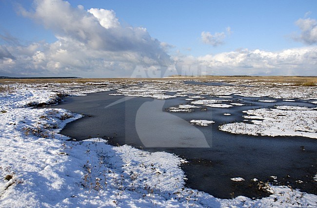 De Slufter op Texel in de winter; The Slufter on Texel in winter stock-image by Agami/Rob Riemer,