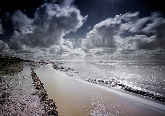 Wadddengebied bij Paesens/Moddergat, Tidalflats at Paesens/Moddergat stock-image by Agami/Wil Leurs,