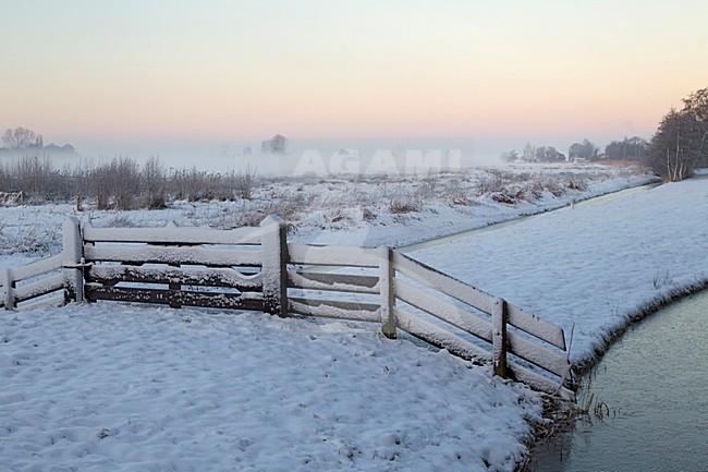 Naardermeer in winter, Naardermeer in winter stock-image by Agami/Roy de Haas,
