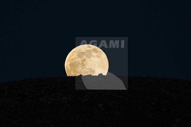 Moonrise in Spain. stock-image by Agami/Pete Morris,