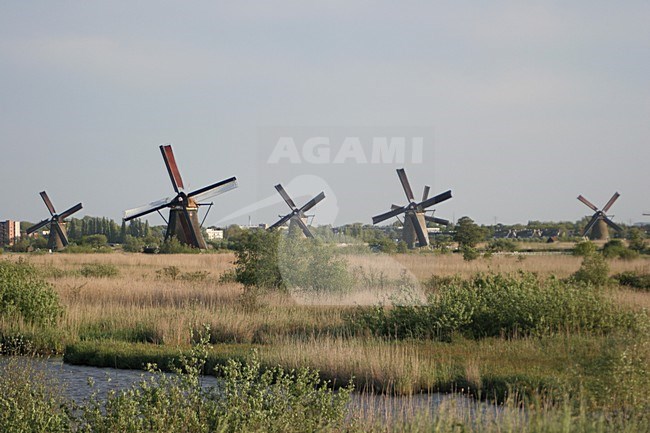 De Kinderdijkse molens, The Windmills of Kinderdijk stock-image by Agami/Chris van Rijswijk,