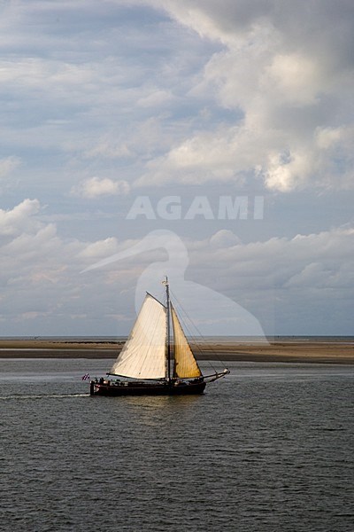Zeilboot op de Waddenzee; Sail ship on the Waddensea stock-image by Agami/Arnold Meijer,