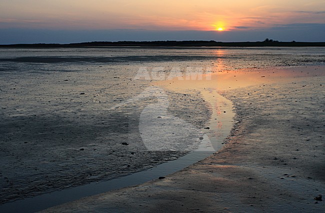 Laag water bij Schiermonnikoog, low tide Schiermonnikoog stock-image by Agami/Jacques van der Neut,