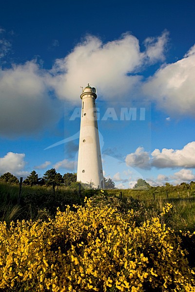 Vuurtoren Schiermonnikoog, Nederland / Netherlands stock-image by Agami/Marc Guyt,