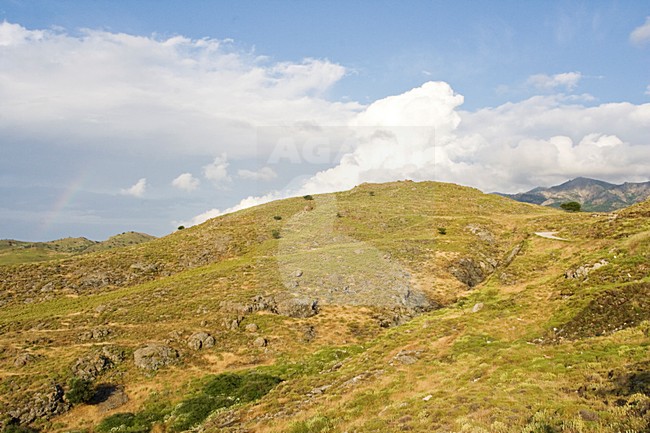 Heuvels op Lesbos; Hills on Lesvos stock-image by Agami/Marc Guyt,