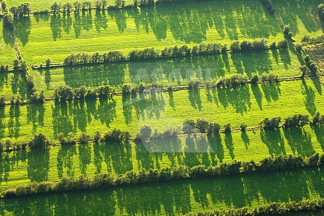 Luchtfoto van boerenland in Friesland; Aerial photo of rural aereas in Friesland stock-image by Agami/Marc Guyt,