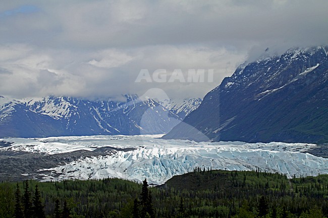 Matanuska Gletsjer Alaska, Matanuska Glacier Alaska stock-image by Agami/Pete Morris,