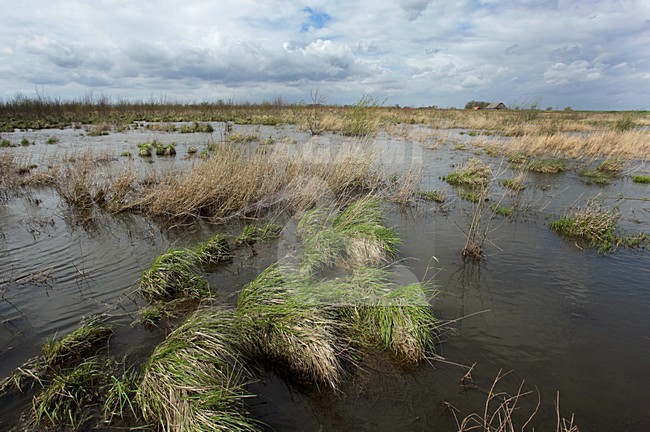 Tiengemeten stock-image by Agami/Jacques van der Neut,
