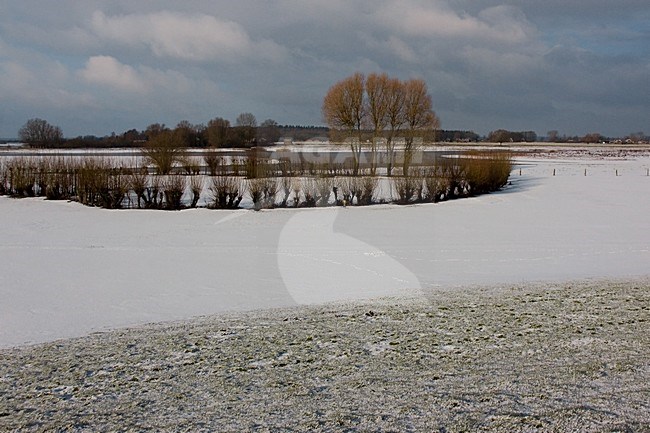 De IJssel in de winter; The IJssel in winter stock-image by Agami/Theo Douma,
