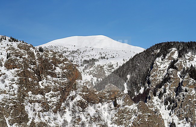 Snow covered Sredna Gora mountains near Koprivshtitsa, Bulgaria. stock-image by Agami/Marc Guyt,