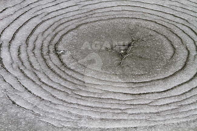 IJsformaties, Ice formations stock-image by Agami/Menno van Duijn,