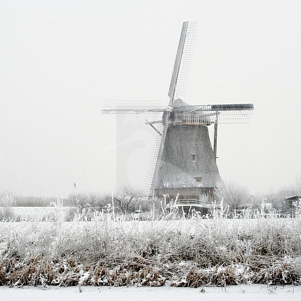 Winterlandschap met molen; Winter landscape with windmill stock-image by Agami/Bas Haasnoot,