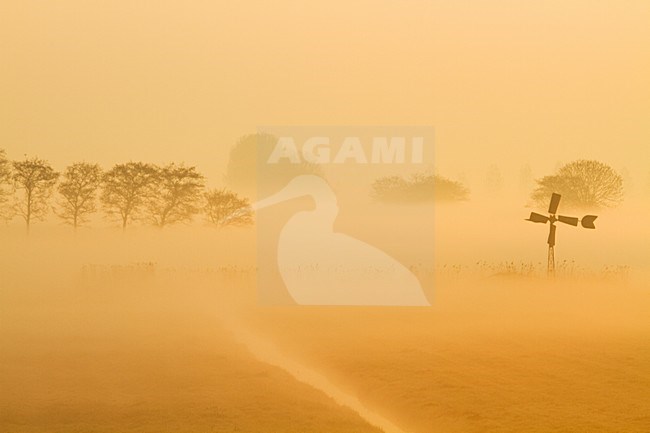 Zonsopkomst met weiland, Sunrise with meadow stock-image by Agami/Menno van Duijn,