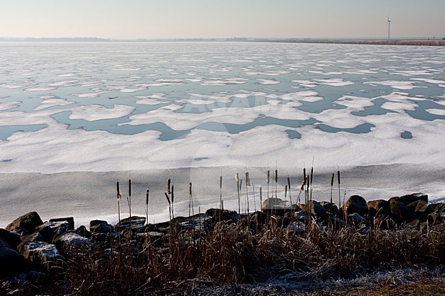 IJsselmeer met ijs, IJsselmeer with ice stock-image by Agami/Anja Nusse,