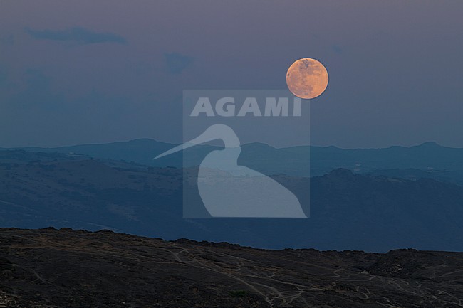 Moonrise over Oman stock-image by Agami/Ralph Martin,