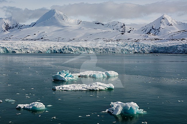 A view of Isbjornhamna glacier. Svalbard, Norway stock-image by Agami/Sergio Pitamitz,
