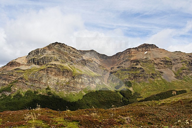 Tierra del Fuego Argentina stock-image by Agami/Marc Guyt,