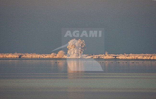 manual updated stock-image by Agami/Roy de Haas,