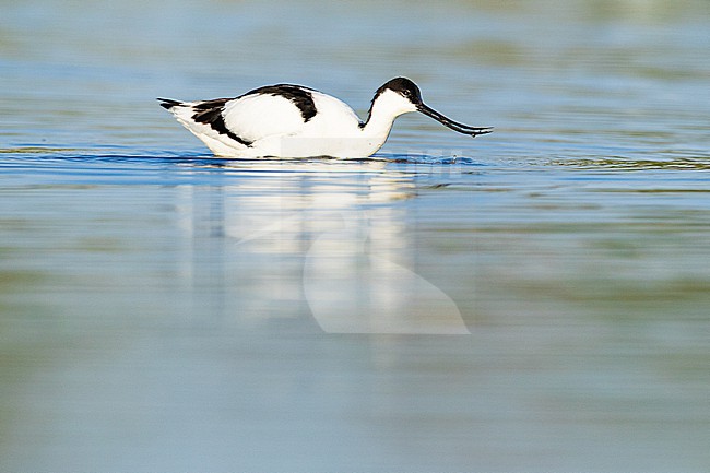  stock-image by Agami/Menno van Duijn,
