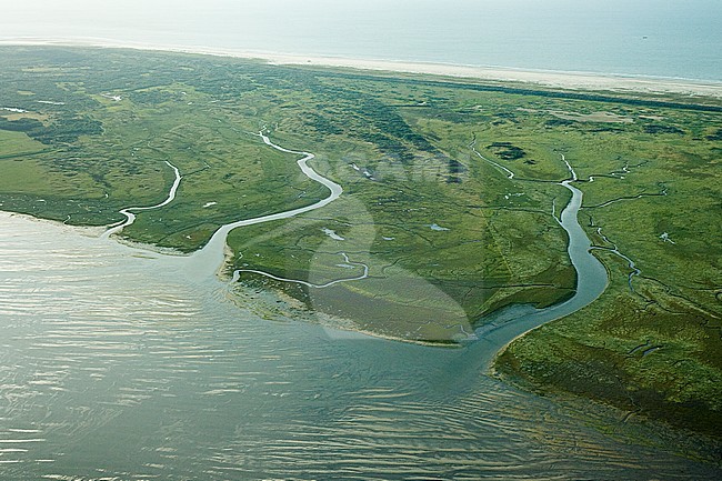  stock-image by Agami/Marc Guyt,