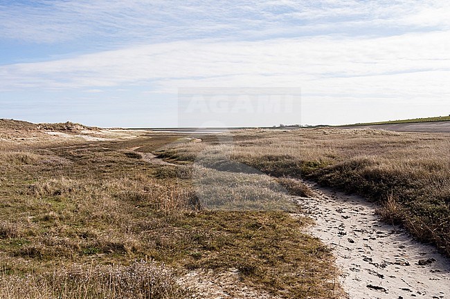 Coast of Texel in spring stock-image by Agami/Marc Guyt,