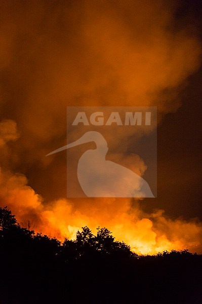 A bushfire on the hills surrounding the Savuti Marsh. Savuti, Chobe National Park, Botswana stock-image by Agami/Sergio Pitamitz,