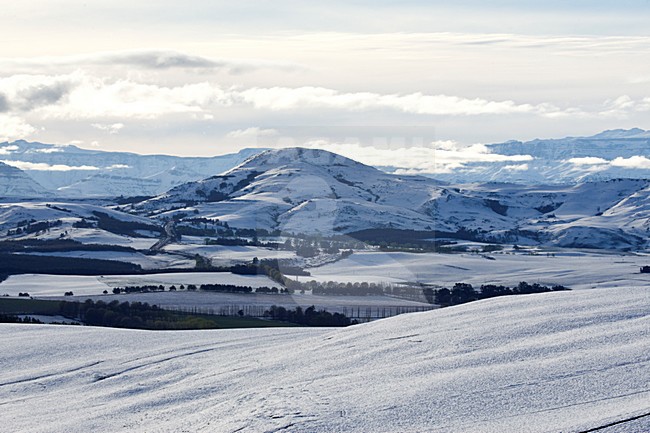 Underberg, Drakensbergen, South-Africa stock-image by Agami/Marc Guyt,