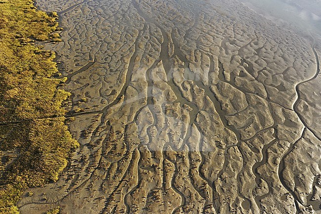 Mudflats in the Westerschelde show a lot of structures, caused by the currents. stock-image by Agami/Jacques van der Neut,