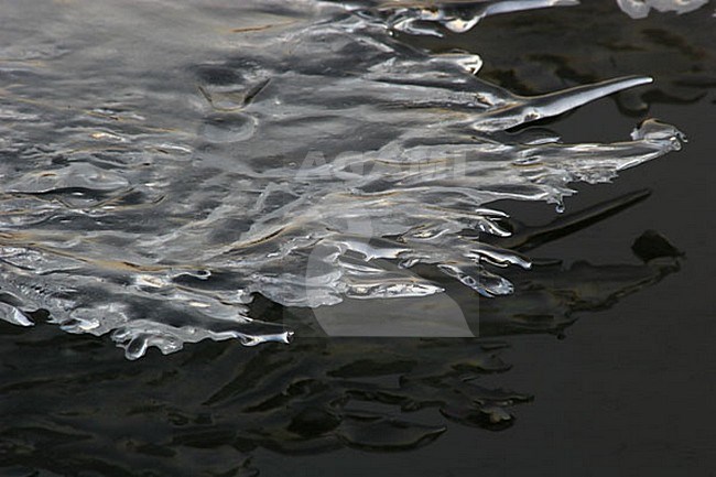 ijs in allerlei vormen; ice in different forms stock-image by Agami/Menno van Duijn,