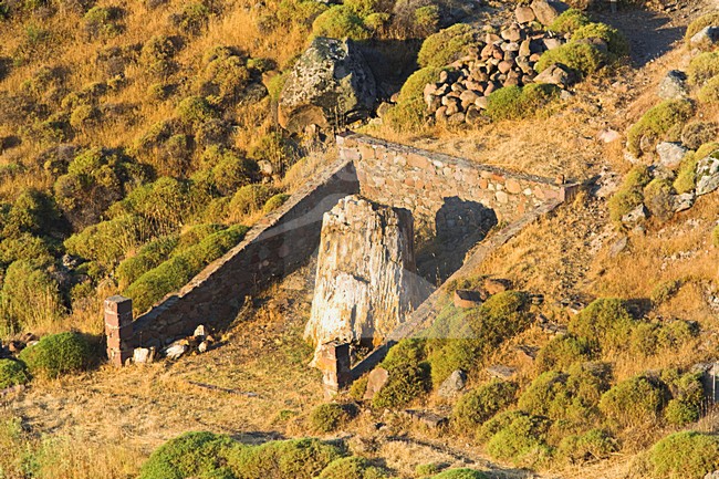 Versteend bos op Lesbos; Petrified forest on Lesvos stock-image by Agami/Marc Guyt,