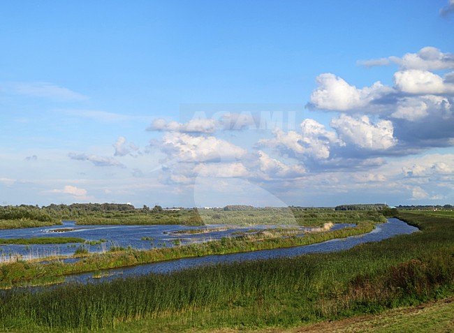 Harderbroek, Flevopolder; Nederlands / Netherlands stock-image by Agami/Marc Guyt,