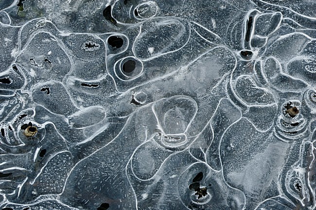 IJskristallen, Ice crystals stock-image by Agami/Menno van Duijn,