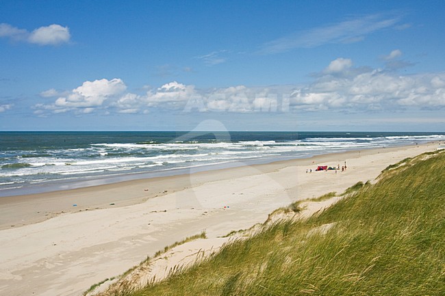 Kust op Texel; Coast on Texel stock-image by Agami/Marc Guyt,