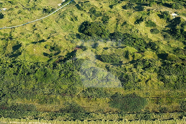  stock-image by Agami/Marc Guyt,