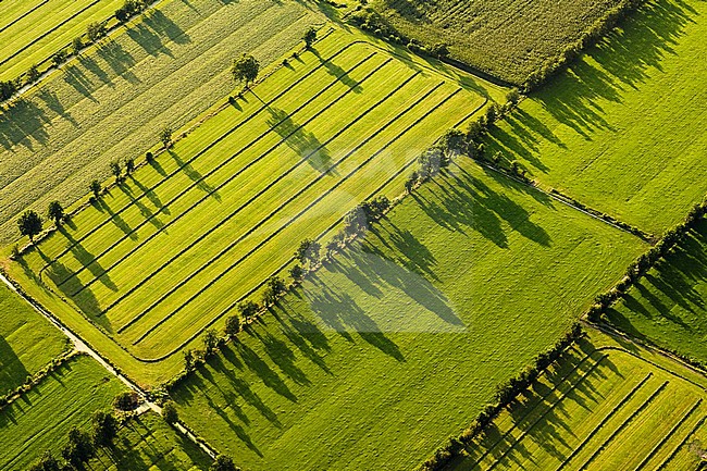  stock-image by Agami/Marc Guyt,