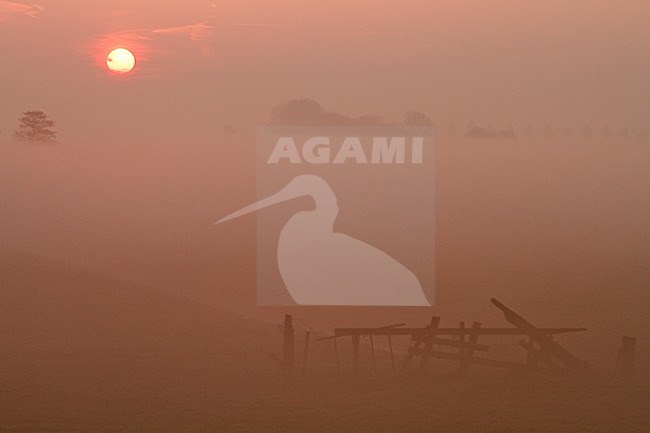 Zonsopkomst met weiland, Sunrise with meadow stock-image by Agami/Menno van Duijn,